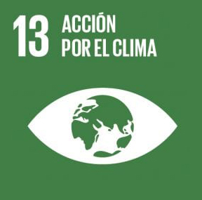 13 Action for climate